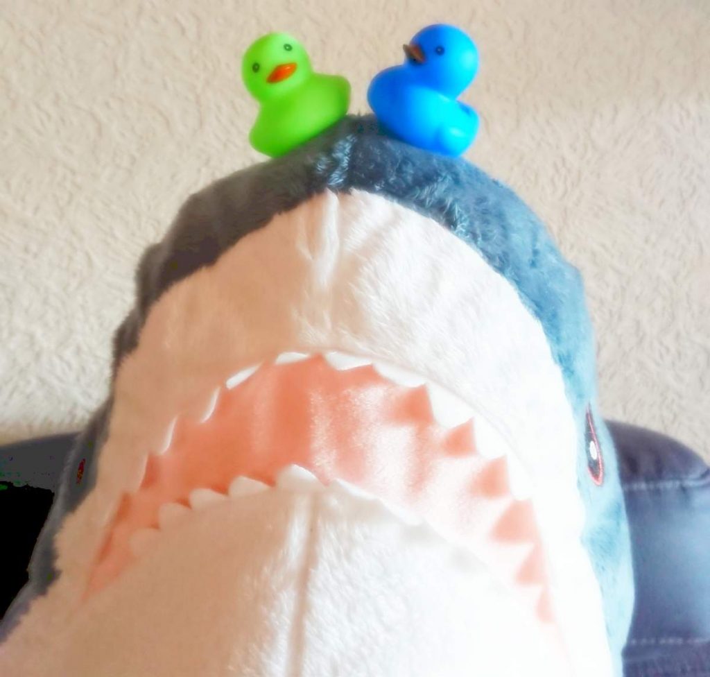 Enten fürs Rennen
