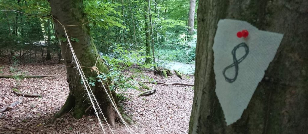 Spinnenfäden