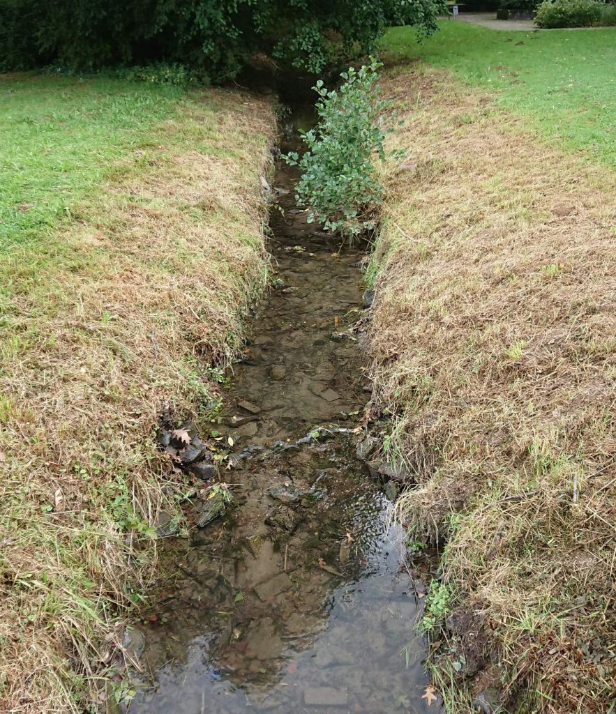 Zieleinlauf