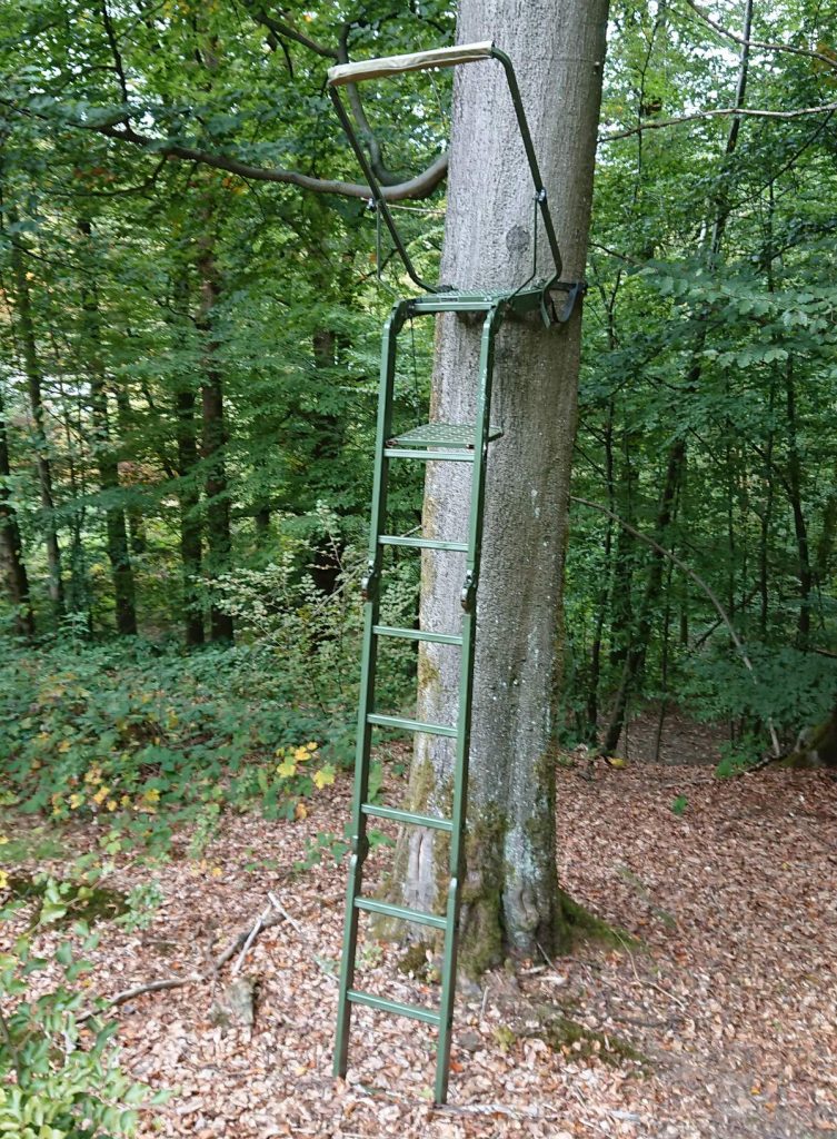 Ansitzleiter