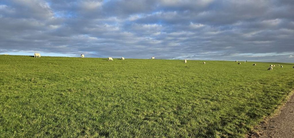 Dramatischer Deichblick
