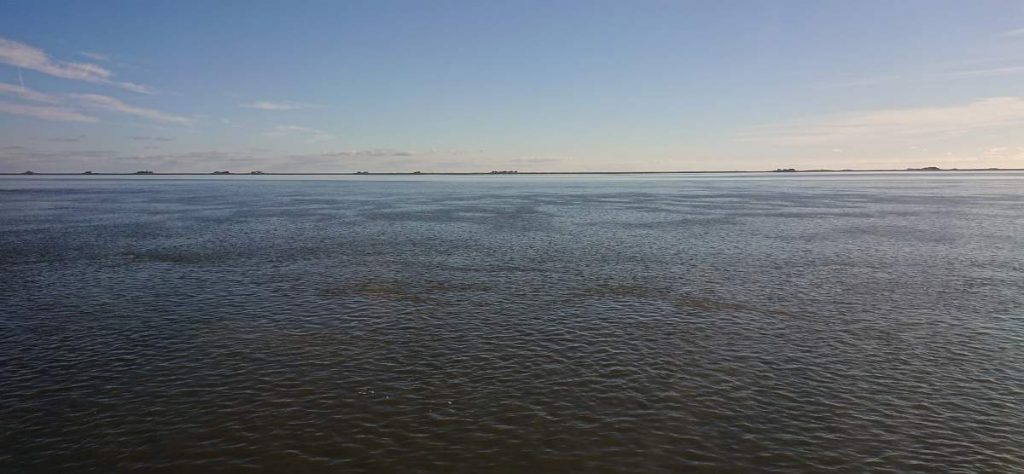 Halligblick (Rückfahrt)