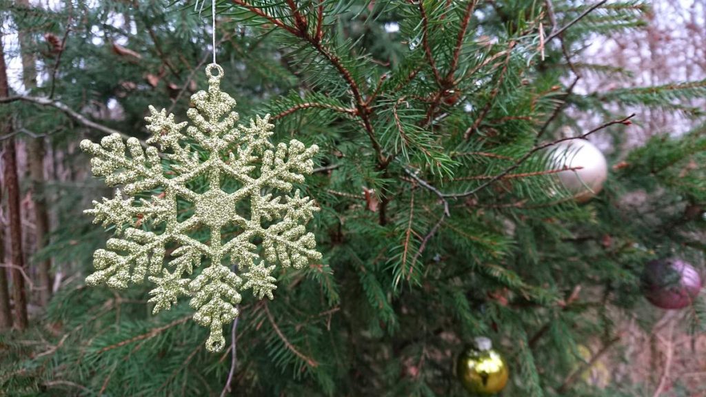 Trassenschmuck der Sülztalbahntrasse
