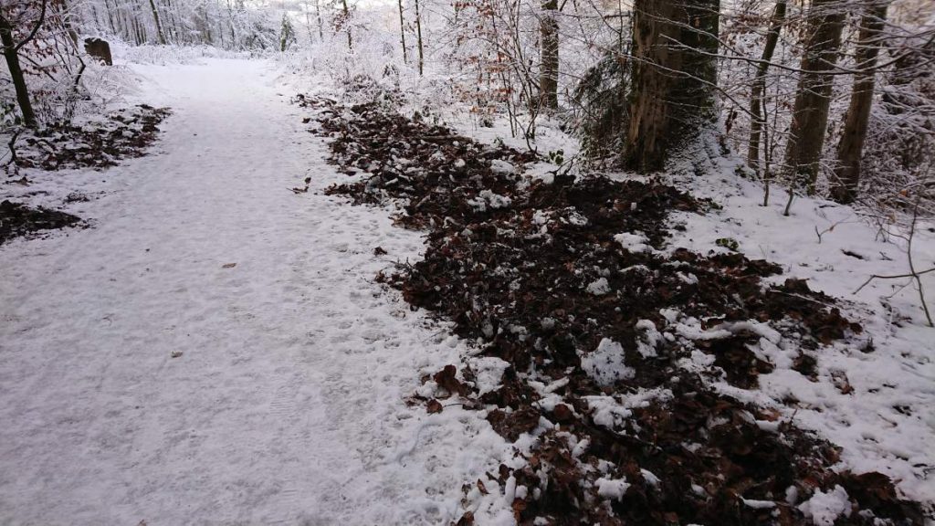 Wildschweine haben gewühlt