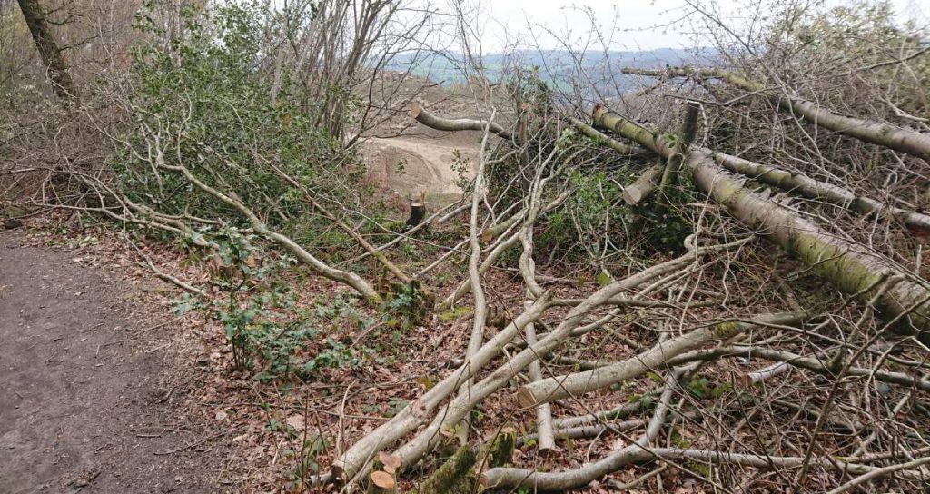 Der Weg ist das Ziel