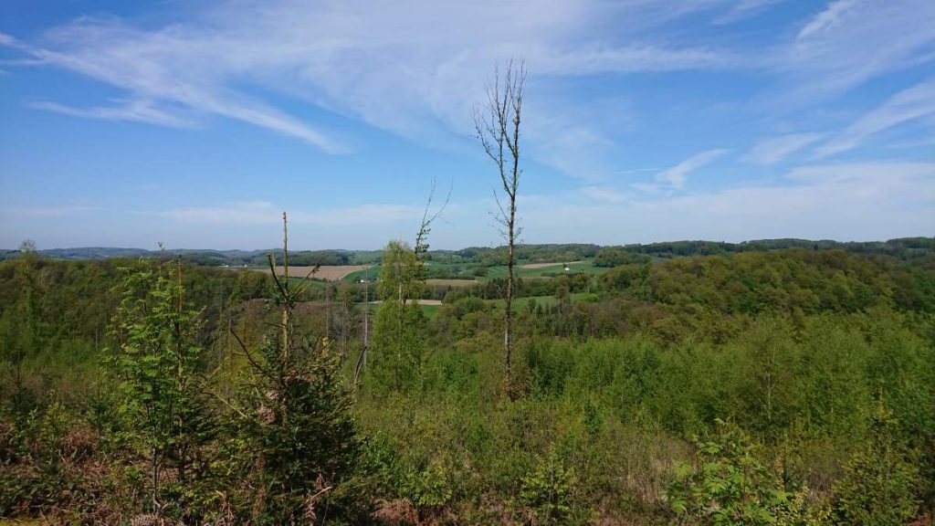 Ausblick vom Weg zum Cache
