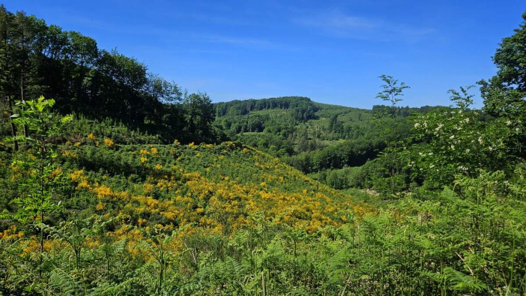 Blühende Landschaften