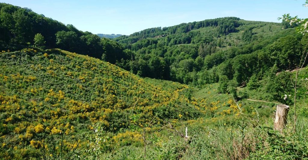 Blühende Landschaften 2