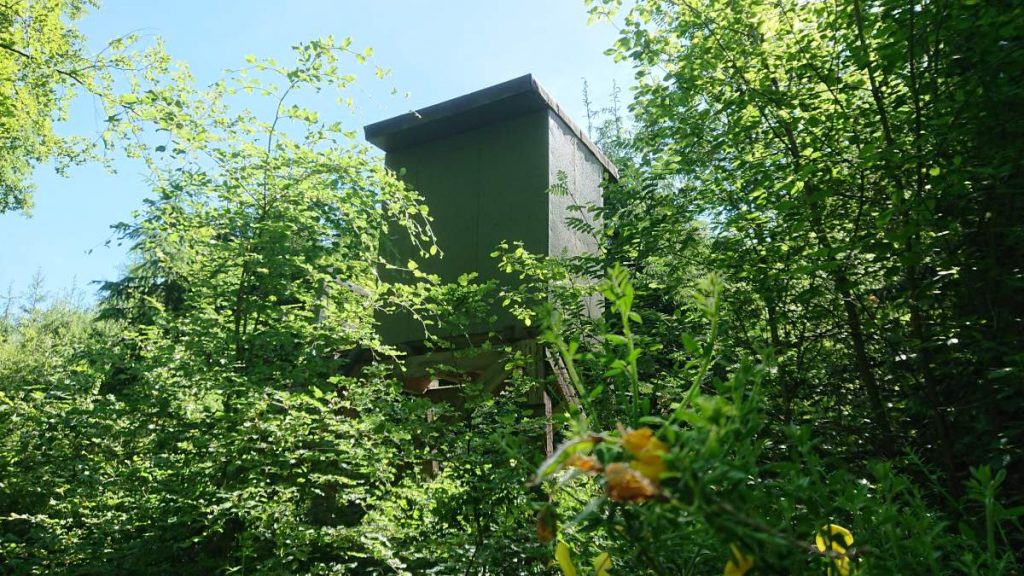 Hochsitz ohne Blick