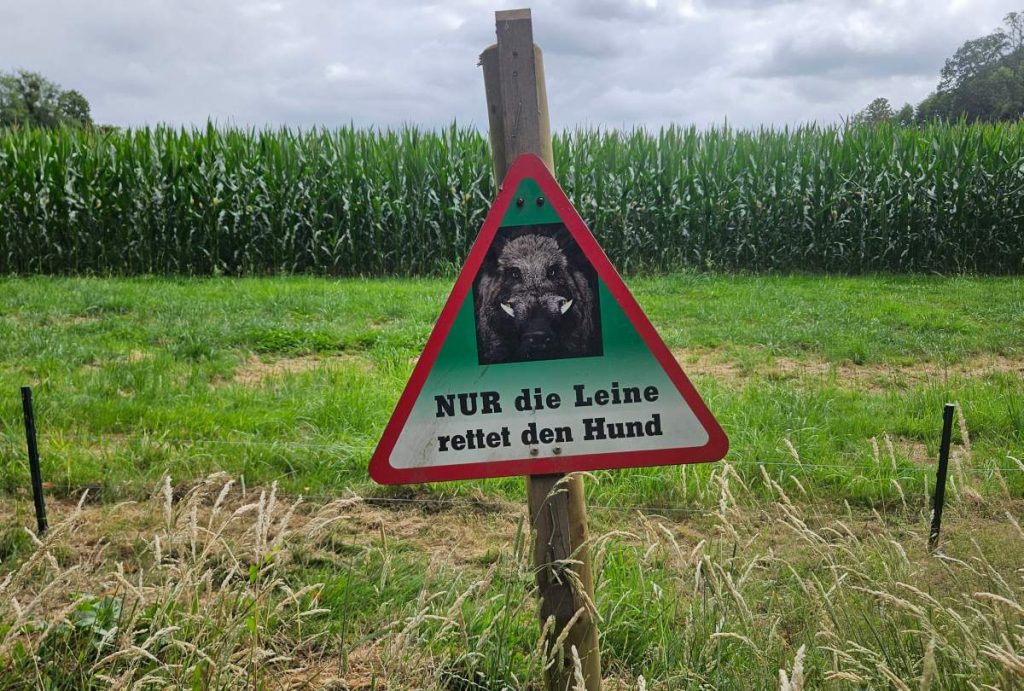 NUR die Leine rettet den Hund