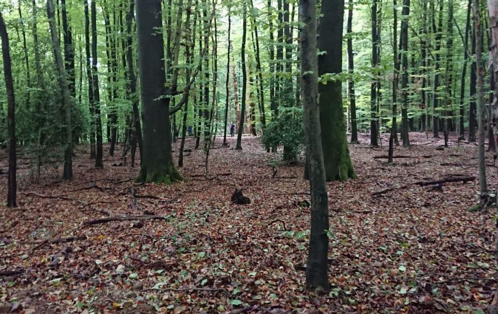 Feindblick