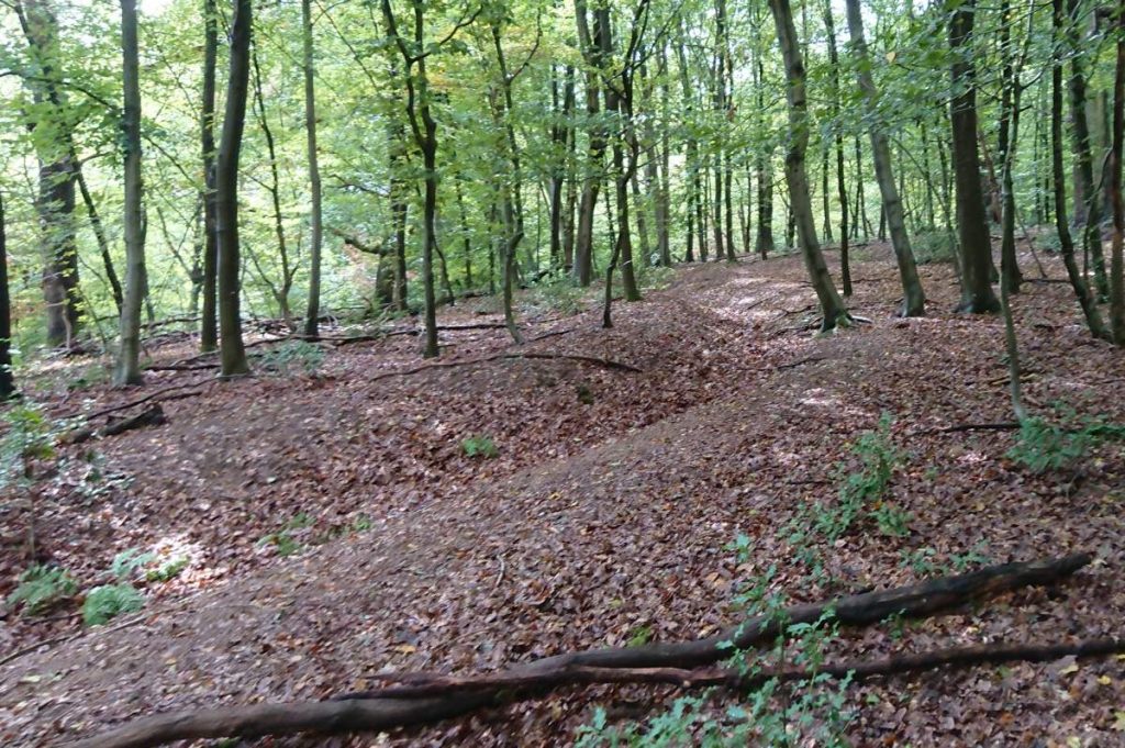 Graben im Wald
