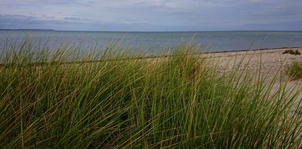 Noch mehr Strand Eckernförde